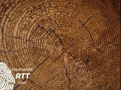 Algemene kenmerken hout